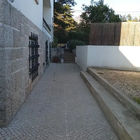 Carvalho Araujo Кашкайш
